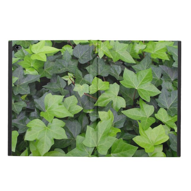 Green Ivy Botanical Print Powis iPad Air 2 Case (Outside)