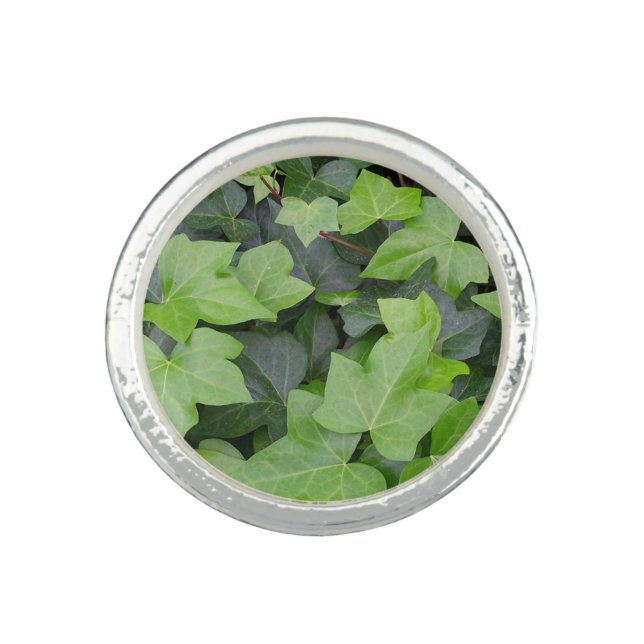 Green Ivy Botanical Print Ring (Front)