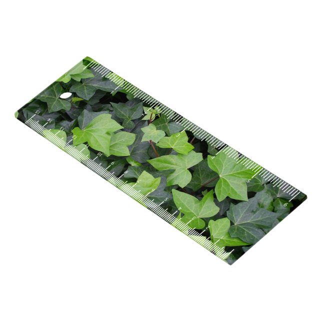 Green Ivy Botanical Print Ruler (Angled)