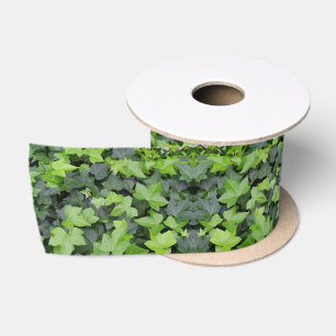 Green Ivy Botanical Print Satin Ribbon