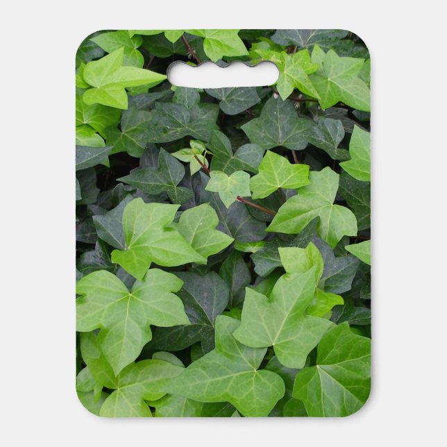 Green Ivy Botanical Print Seat Cushion (Front Vertical)