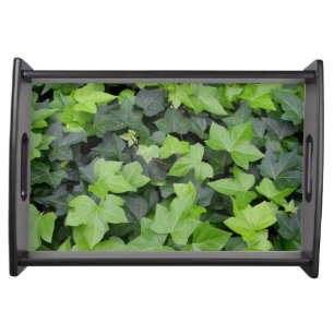 Green Ivy Botanical Print Serving Tray