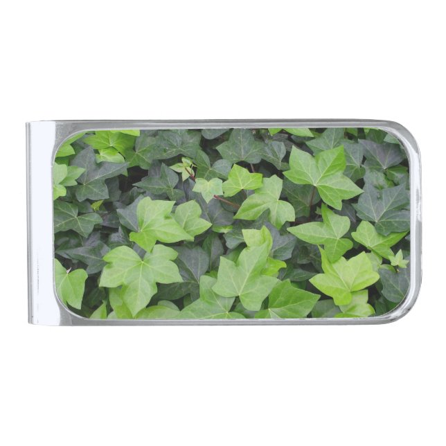 Green Ivy Botanical Print Silver Finish Money Clip (Front)
