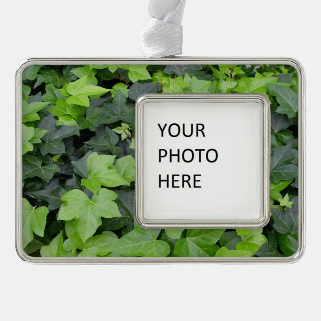 Green Ivy Botanical Print Silver Plated Framed Ornament (Front)