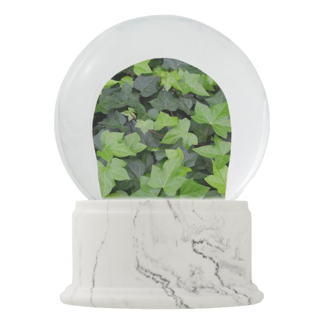 Green Ivy Botanical Print Snow Globe (Front)