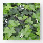 Green Ivy Botanical Print Square Wall Clock