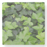 Green Ivy Botanical Print Stone Coaster