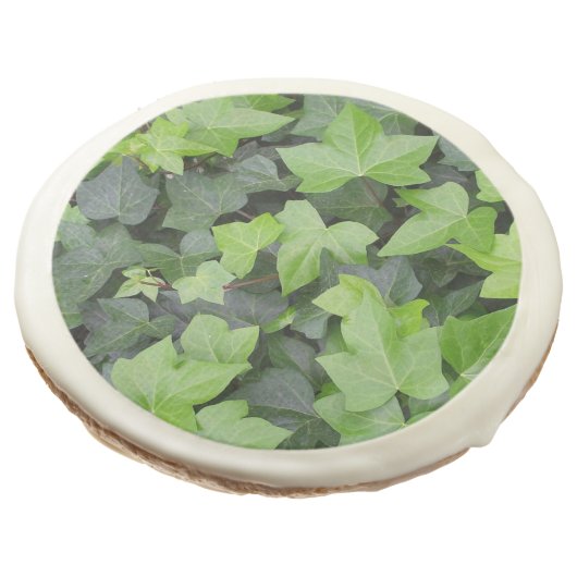 Green Ivy Botanical Print Sugar Cookie (Angled)