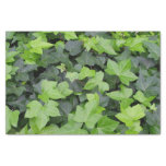 Green Ivy Botanical Print Tissue Paper