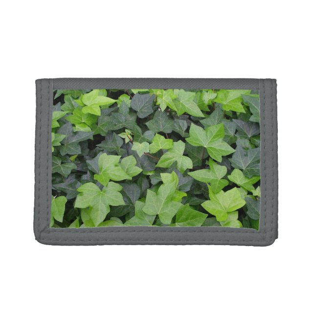 Green Ivy Botanical Print Trifold Wallet (Front)