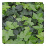 Green Ivy Botanical Print Trivet