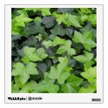 Green Ivy Botanical Print Wall Sticker