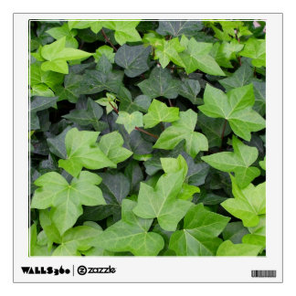 Green Ivy Botanical Print Wall Sticker