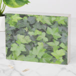 Green Ivy Botanical Print Wooden Box Sign