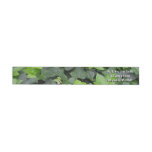 Green Ivy Botanical Print Wrap Around Label