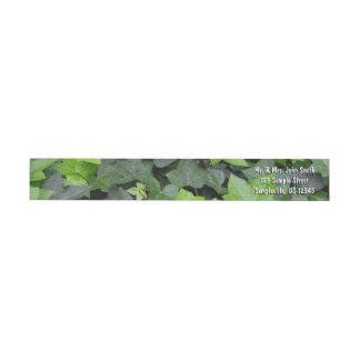 Green Ivy Botanical Print Wrap Around Label