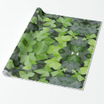 Green Ivy Botanical Print Wrapping Paper