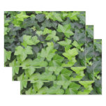 Green Ivy Botanical Print Wrapping Paper Sheets
