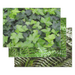 Green Ivy Botanical Print Wrapping Paper Sheets
