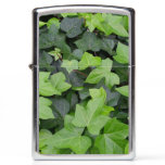 Green Ivy Botanical Print Zippo Lighter