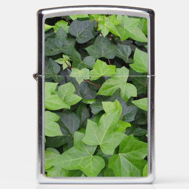 Green Ivy Botanical Print Zippo Lighter (Front)
