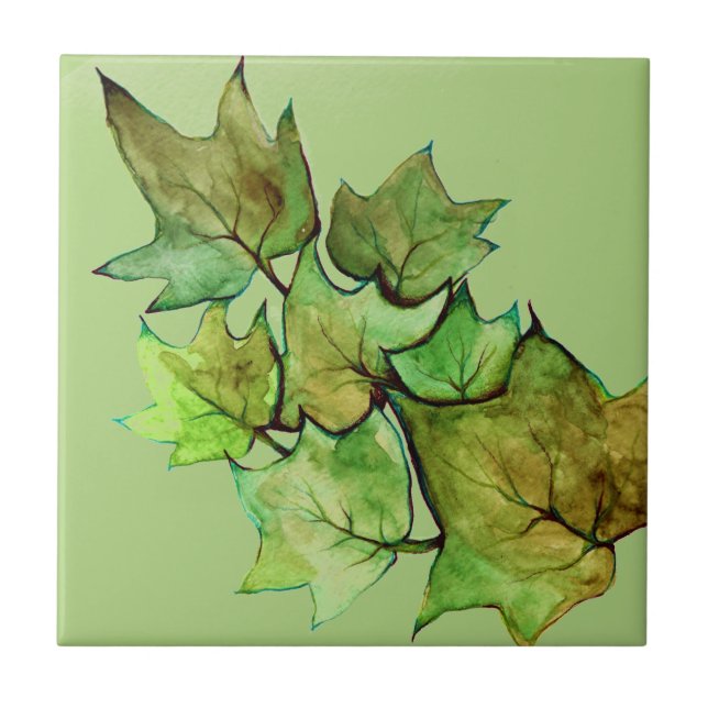 Green Ivy Nature Watercolor Ceramic Tile (Front)