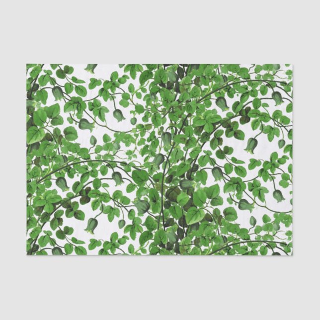 Green Ivy Vine Botanical Tissue Paper (Front)