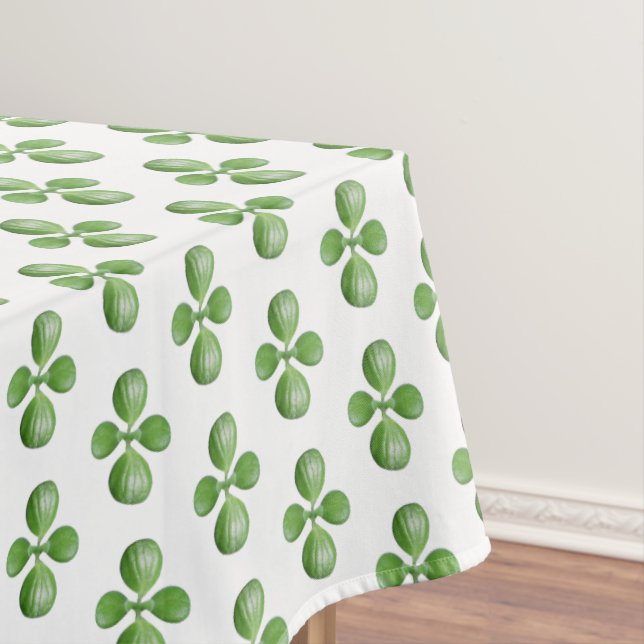 Green Jade Tree Leaves on White Tablecloth (In Situ)