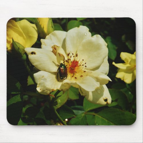 Green Japanese Beetle on Yellow Rose floral Mouse Pad