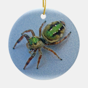 Green Jumping Spider Christmas Ornament