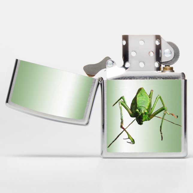 Green Katydid Animal Insect Zippo Lighter (Opened)