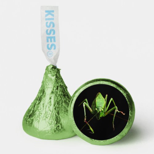 Green Katydid Hersheys Kisses