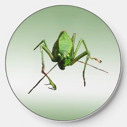 Green Katydid Wireless Charger