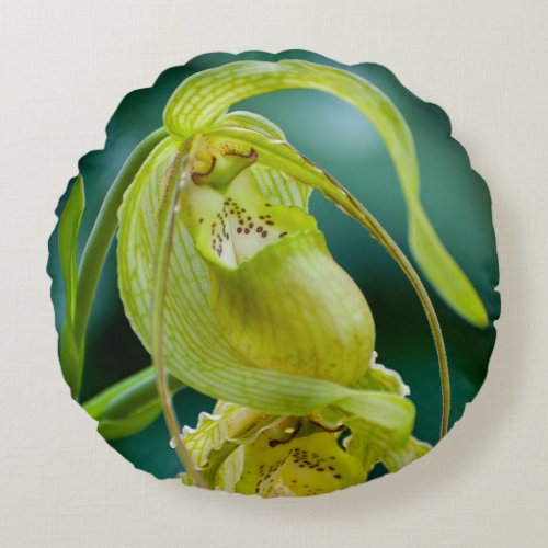 Green Lady Slipper Orchid Round Pillow