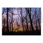 Green Lane PA Woodland Winter Sunset