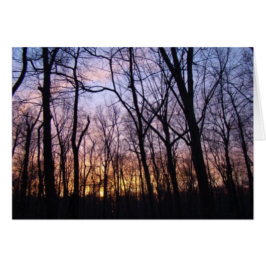Green Lane PA Woodland Winter Sunset (Front Horizontal)