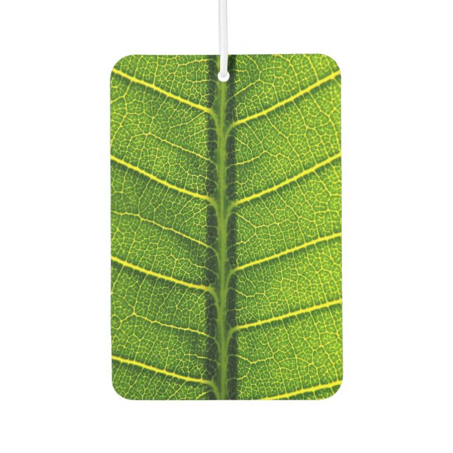 Green leaf air freshener (Front)
