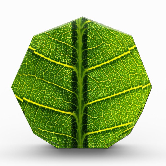 Green leaf award (Front)