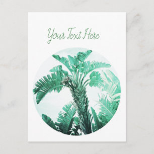 Green leaf banana plant postcard