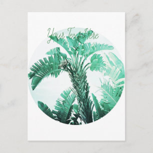 Green leaf banana plant postcard