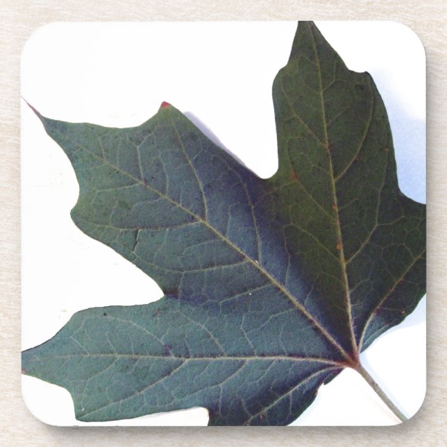 Green Leaf Beverage Coaster (Front)