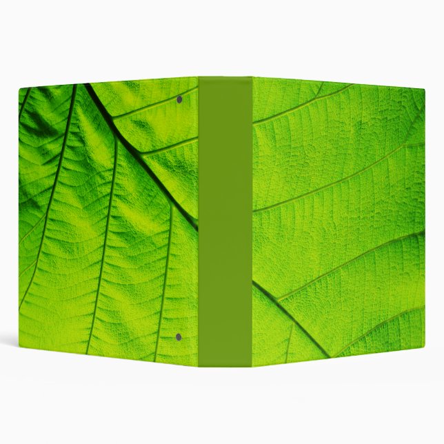 Green Leaf Binders (Background)