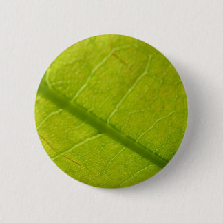 Green Leaf Botanical Nature Photography Button