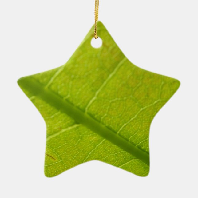 Green Leaf Botanical Nature Photography Ceramic Ornament (Front)