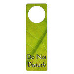 Green Leaf Botanical Nature Photography Door Hanger