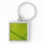 Green Leaf Botanical Nature Photography Keychain