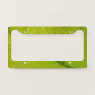 Green Leaf Botanical Nature Photography License Plate Frame