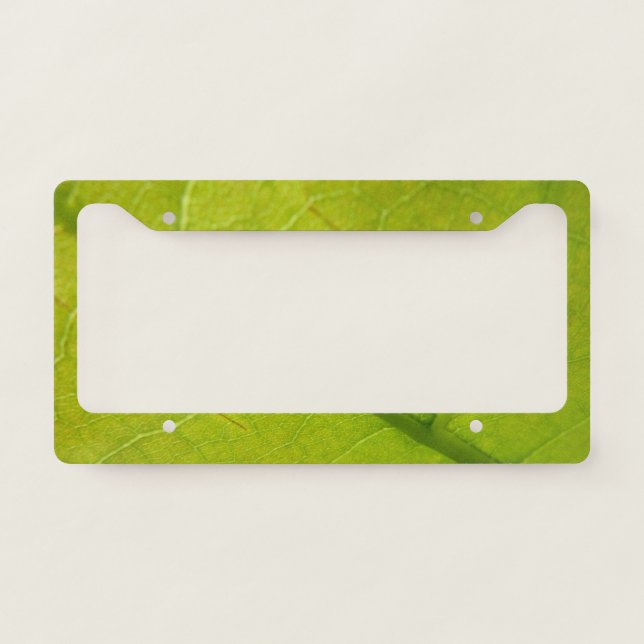 Green Leaf Botanical Nature Photography License Plate Frame (Front)