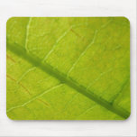 Green Leaf Botanical Nature Photography Mouse Pad
