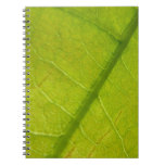 Green Leaf Botanical Nature Photography Notebook